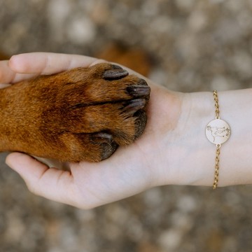 1 gouden armband franse bulldog