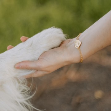 1 gouden armband met hond labradoodle