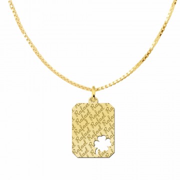 1 gouden graveerplaat met naam als tekst