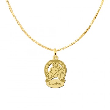 1 gouden hanger hoefijzer paard met naam