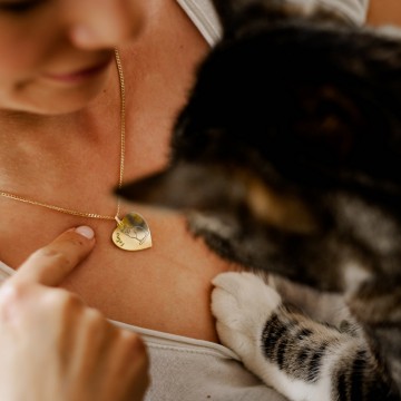 1 gouden hanger kat gewone huiskatvuilnisbakkenras kat