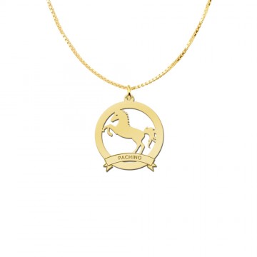 1 gouden paarden bedels met naam