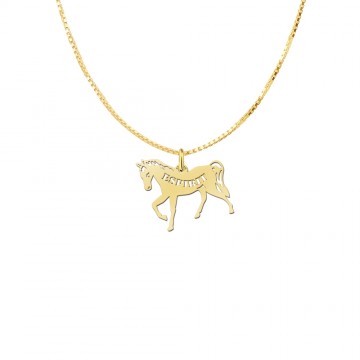 1 gouden paarden sieraad met naam