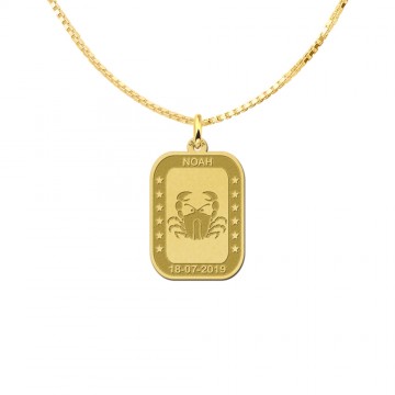 1 gouden rechthoekige hanger sterrenbeeld kreeft