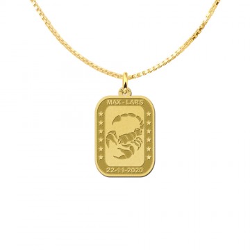 1 gouden rechthoekige hanger sterrenbeeld schorpioen