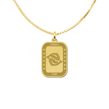 1 gouden rechthoekige hanger sterrenbeeld vissen