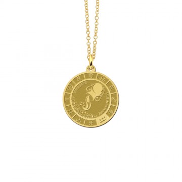 1 gouden ronde hanger sterrenbeeld waterman