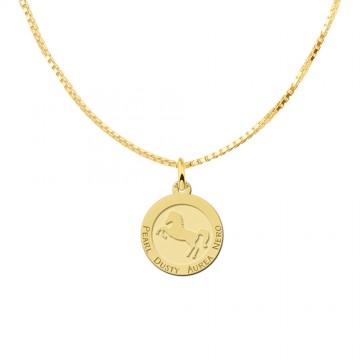 1 paarden hanger met namen van goud