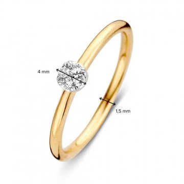 1 ring bicolor briljant 0 06 crt 30379 nl g