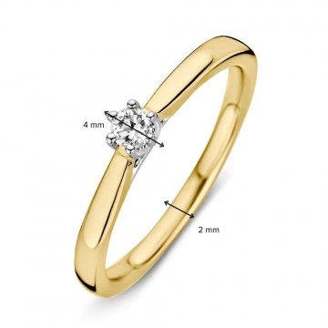 1 ring bicolor briljant 0 09 crt 29974 nl g
