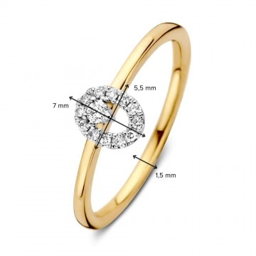 1 ring bicolor briljant 0 11 crt 30377 nl g