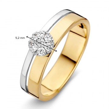 1 ring bicolor briljant 0 14 crt 31147 nl g