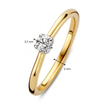 1 ring bicolor briljant 0 20 crt 28735 nl g
