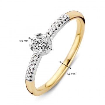 1 ring bicolor briljant 0 20 crt 28755 nl g