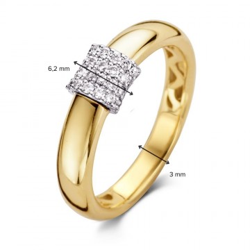 1 ring bicolor briljant 0 21 crt 30816 nl g