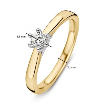 1 ring bicolor briljant 0 24 crt 29995 nl g