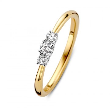 1 ring bicolor briljant 0 24 crt 31053 nl g