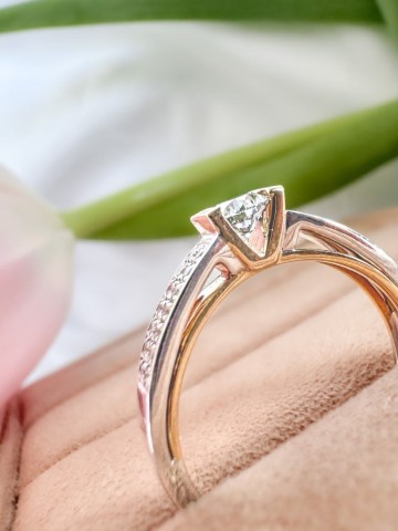 1 ring bicolor briljant 0 52 crt 31080 nl g