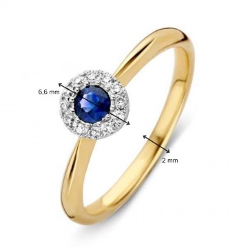 1 ring bicolor briljant saffier 29082 nl g