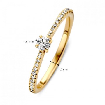 1 ring geelgoud briljant 0 22 crt 30684 nl g