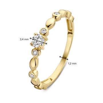 1 ring geelgoud briljant 0 23 crt 30668 nl g