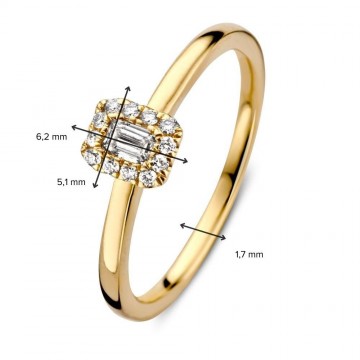 1 ring geelgoud briljant 0 24 crt 28513 nl g