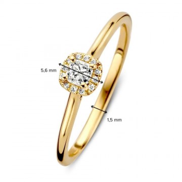 1 ring geelgoud briljant 0 24 crt 30381 nl g