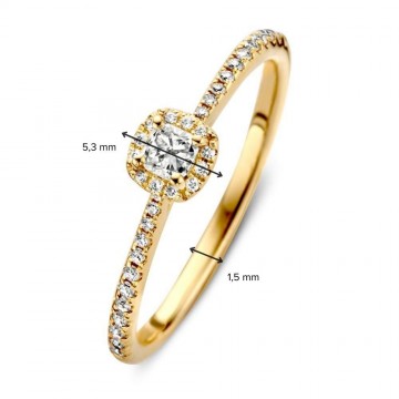 1 ring geelgoud briljant 0 31 crt 30371 nl g
