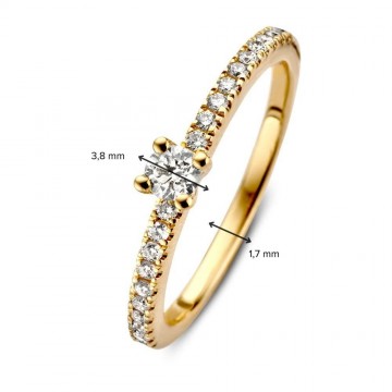 1 ring geelgoud briljant 0 33 crt 28795 nl g