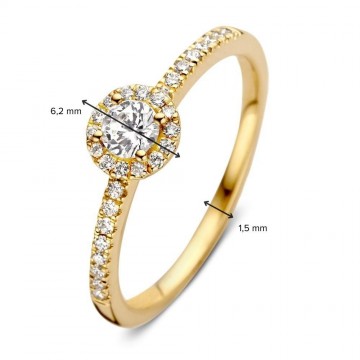 1 ring geelgoud briljant 0 45 crt 30370 nl g