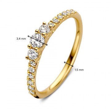1 ring geelgoud briljant 0 46 crt 30745 nl g