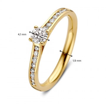 1 ring geelgoud briljant 0 51 crt 30674 nl g