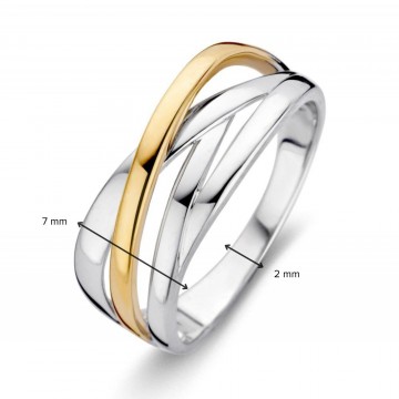 1 ring zilver goud 31018 nl g