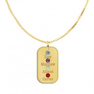 1 stoere hanger van goud met geboorte steen