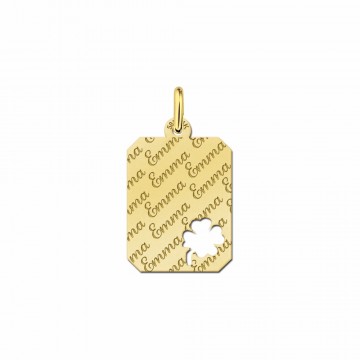 2 gouden graveerplaat met naam als tekst