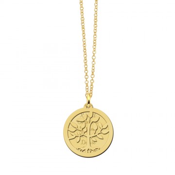 2 gouden levensboomketting met twee schijven