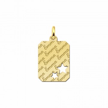 2 gouden naamplaatje met naam als tekst