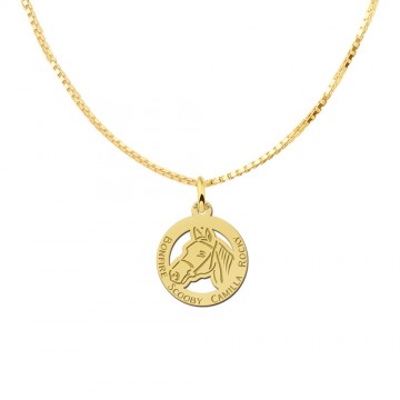 2 gouden paardenhoofd hanger met naam