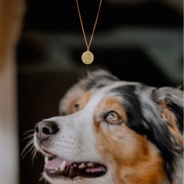 3 gouden hanger met berner sennehond