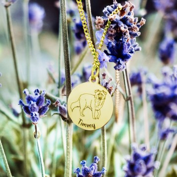 4 hondenras ketting goud samojeed