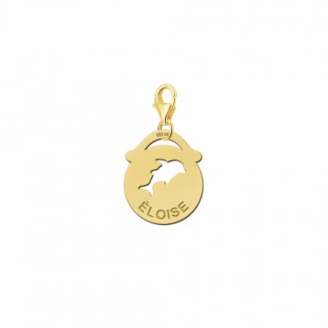 Dieren charm rond dolfijn