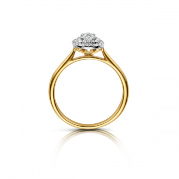 Gf1727bzijaanzichtreflectie 600x600