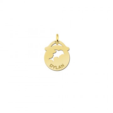 Gouden hangertje dolfijn met naam