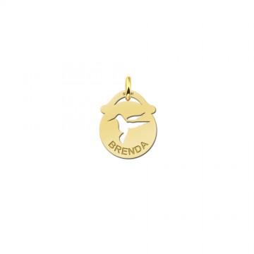 Gouden hangertje kolibri met naam