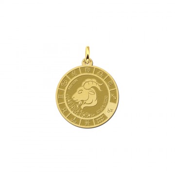 Gouden ronde hanger sterrenbeeld steenbok
