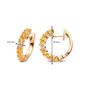 Oorringen 18krt geelgoud briljant saffier 31479 nl g