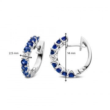 Oorringen 18krt witgoud briljant saffier 31480 nl g