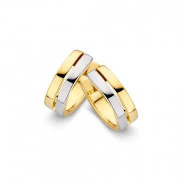 Oorringen bicolor 15060 nl g