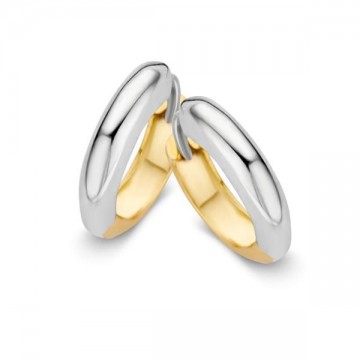 Oorringen bicolor 15063 nl g