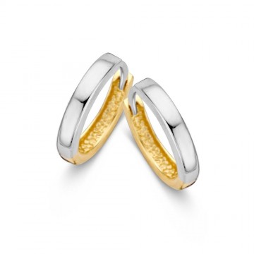 Oorringen bicolor 18642 nl g